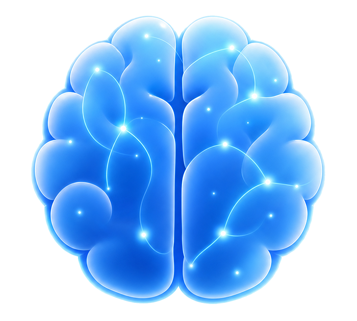 Brand Brain